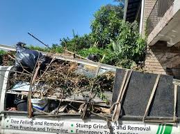 Shed Removal in Renville, MN